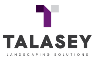Talasey Group full colour logo